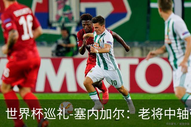 世界杯巡礼-塞内加尔：老将中轴带来安全感，非洲顶流前景可期！